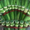 Bambu Rejeki Hoki Model Kipas - Gambar 4