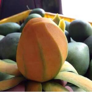 Mangga Gadung
