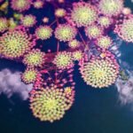 Mosaic Plant
