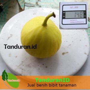 Tin Deana