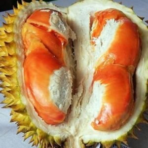 Durian Simas