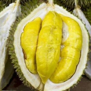 Durian Kumbokarno