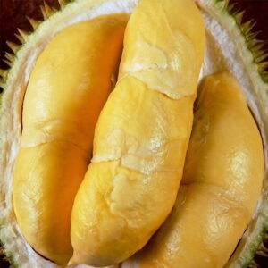 Durian Bawor