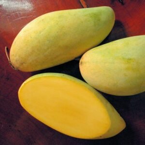 Mangga Nam Doc Mai