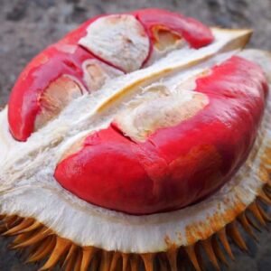 Durian Merah