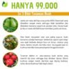 Paket Tabulampot - Gambar 3