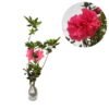 Azalea Pink Tumpuk - Gambar 3
