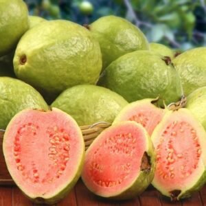 Jambu Biji Merah